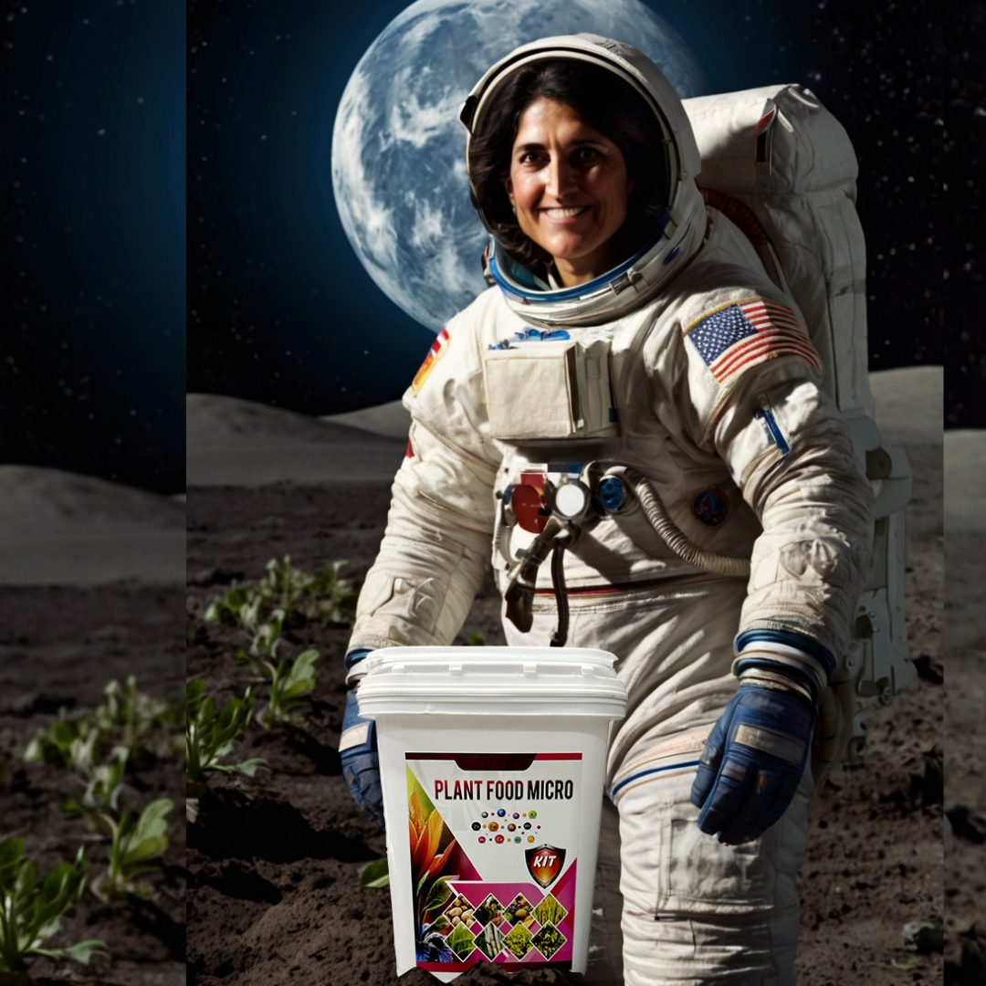 The Future of Lunar Farming: Can We Cultivate Crops on the Moon? 